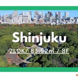 2LDK公寓大廈新宿區