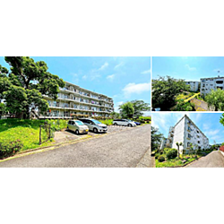 こゆるぎハイツ壱号館 3階/3階