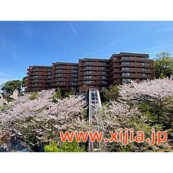 ウェルネスの森伊東C棟 3階